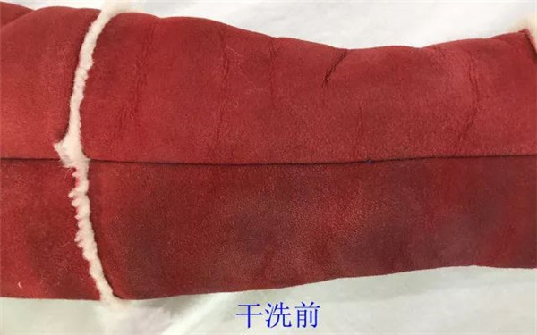 第23期：皮毛一體紅白相間洗護技術