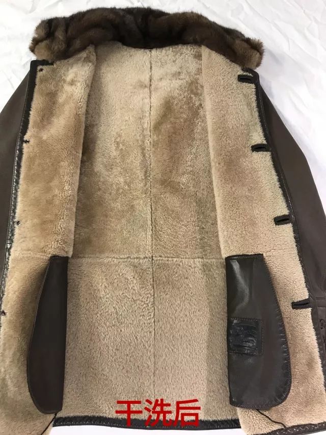 第24期：皮毛一體駝絨閉絨革高度洗護