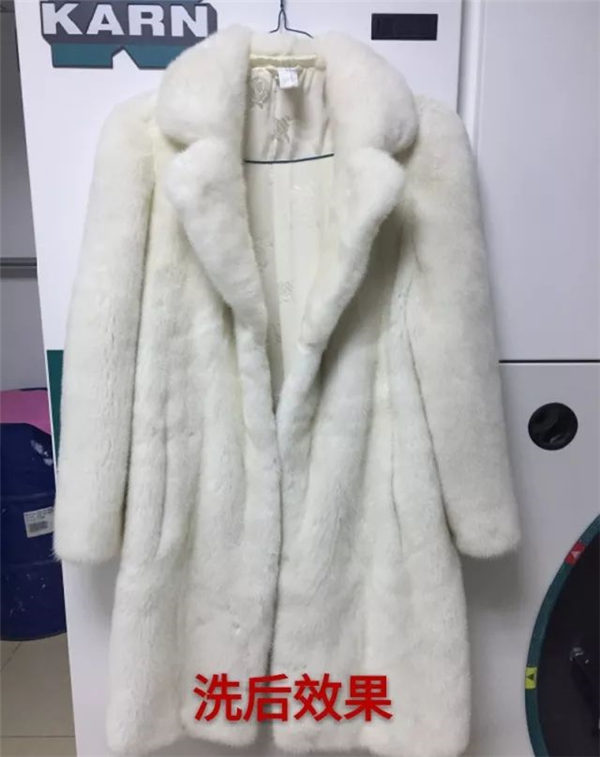 第26期：黑白配貂皮可以這樣洗？