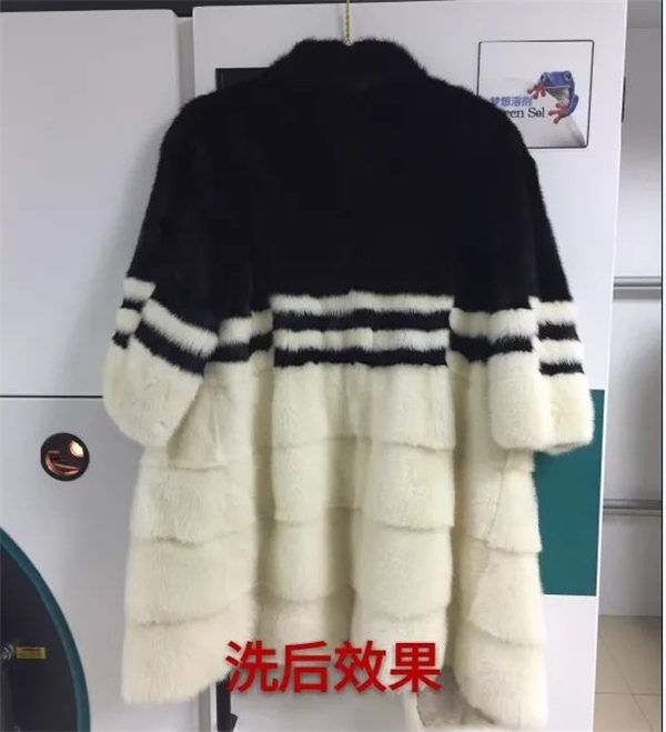 第26期：黑白配貂皮可以這樣洗？