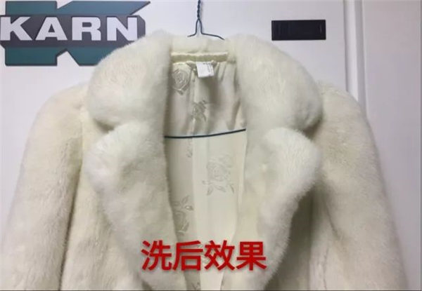 第26期：黑白配貂皮可以這樣洗？