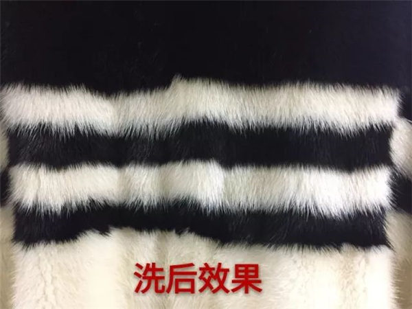 第26期：黑白配貂皮可以這樣洗？