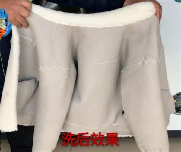 第28期：皮毛一體羊剪絨高度洗護