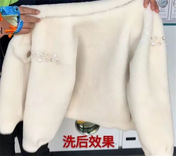 第28期：皮毛一體羊剪絨高度洗護